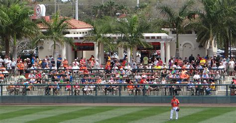 baltimore orioles spring training results